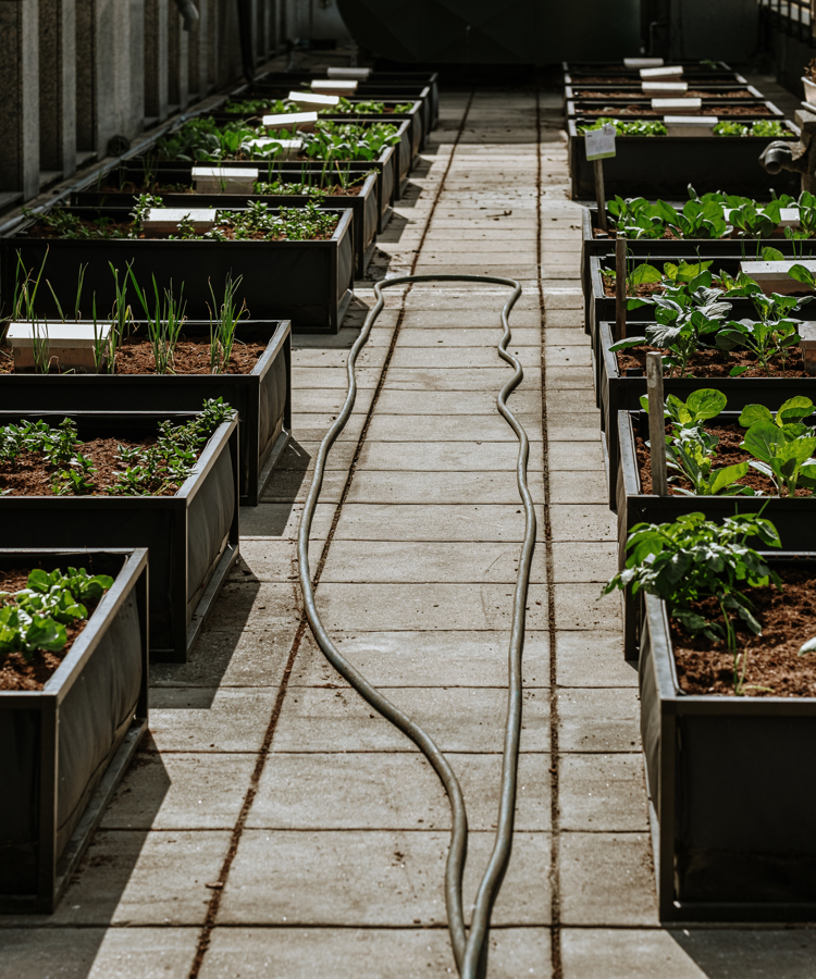 Sustainability & Community.jpg